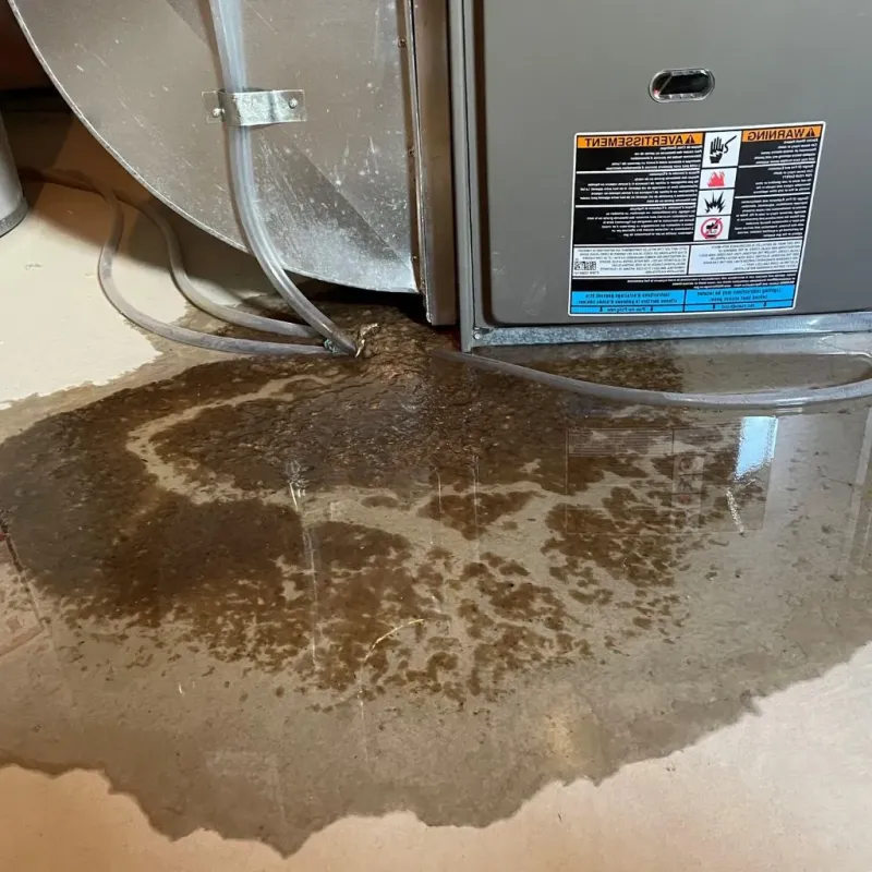 Pipe Burst and Leak Restoration in Taos, NM